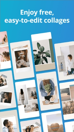 Canva Mod Pro