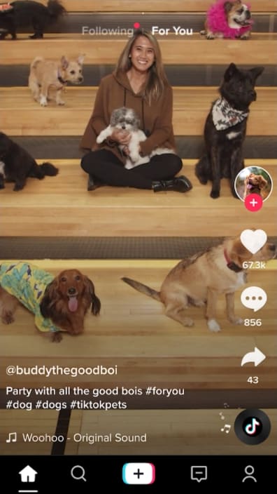 TikTok MOD APK Unlimited Fans and Likes
