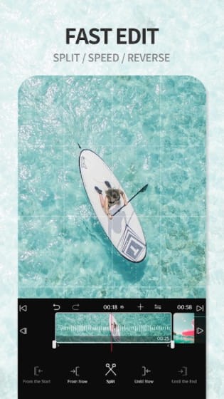 VLLO Premium APK