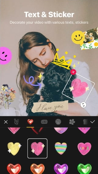 VITA MOD APK Without Watermark