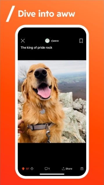 Reddit Premium MOD APK