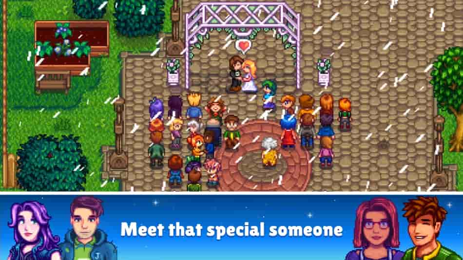 Stardew Valley MOD APK Duplicate