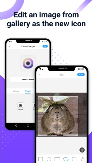 X Icon Changer Premium MOD APK