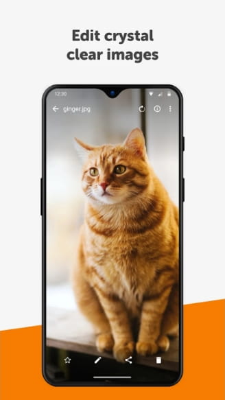 Simple Gallery Pro MOD APK Latest Version
