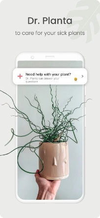 Planta MOD APK Download