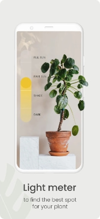 Planta MOD APK No Ads
