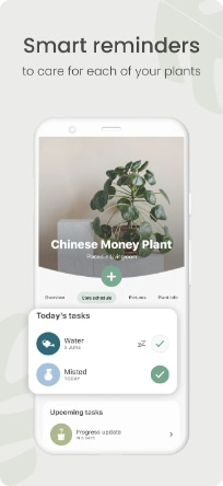 Planta MOD APK